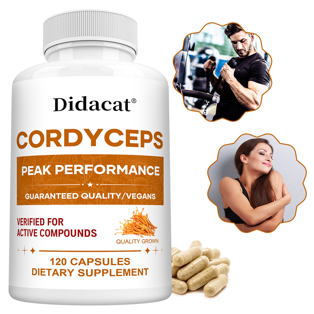 Cordyceps Mantarı Kapsülleri 1 - Health Wellness & Psychology incelemesi ve fiyatı