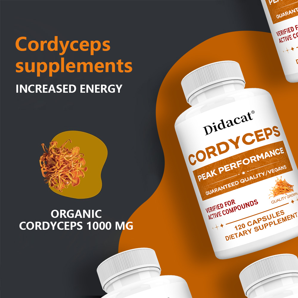 Cordyceps Mantarı Kapsülleri 1 - Health Wellness & Psychology incelemesi ve fiyatı